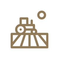 Direito do Agronegócio e Ambiental